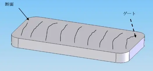 ブロック横断面図 内部の繊維配向挙動